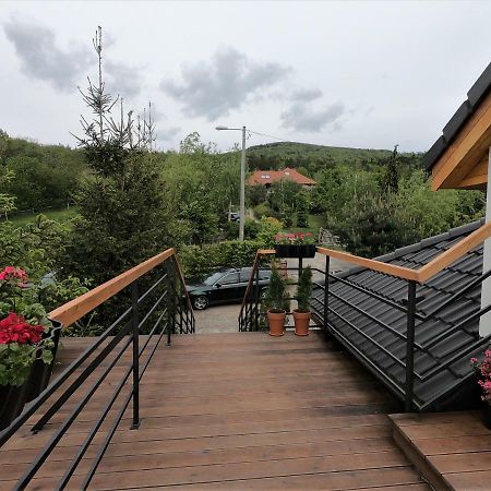 Marcinowice Apartament Sady Przy Slezy מראה חיצוני תמונה